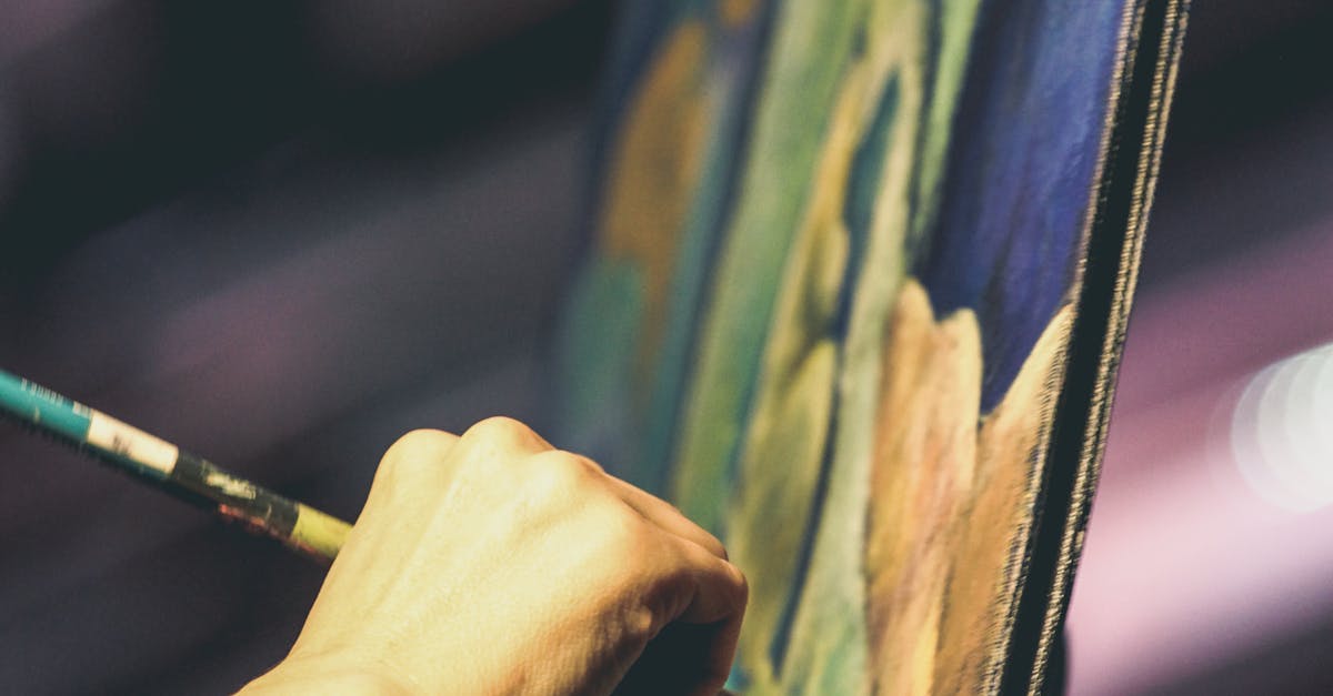 Eco-Friendly Painting Techniques for Brisbane Homes