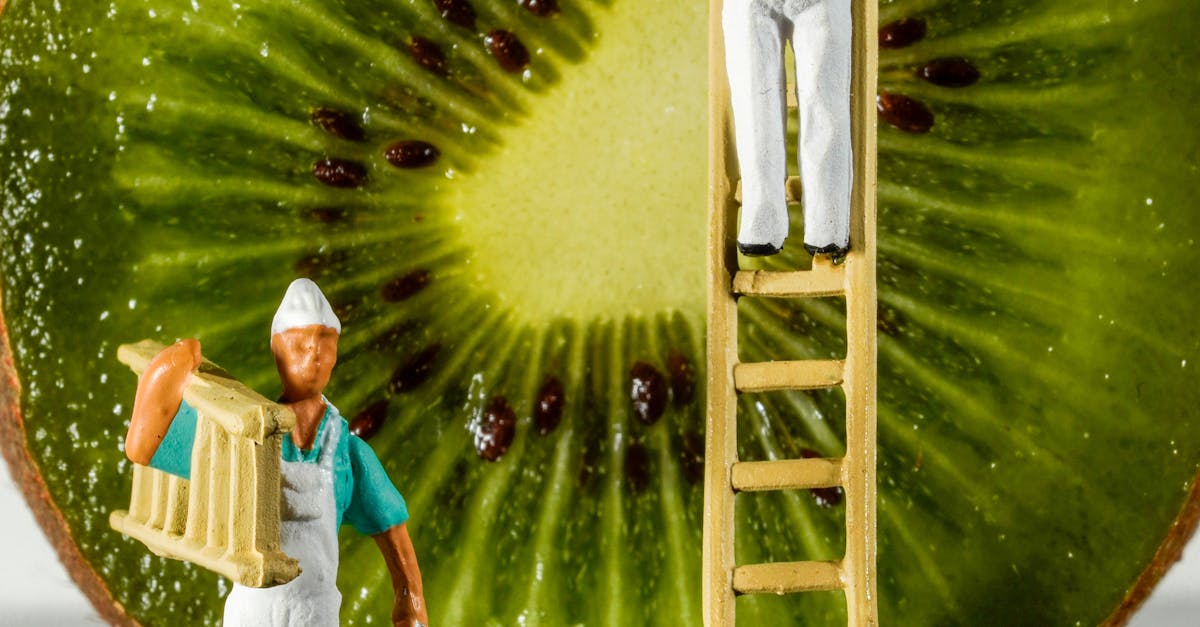 Maximising Energy Efficiency with Green Commercial Painting Solutions