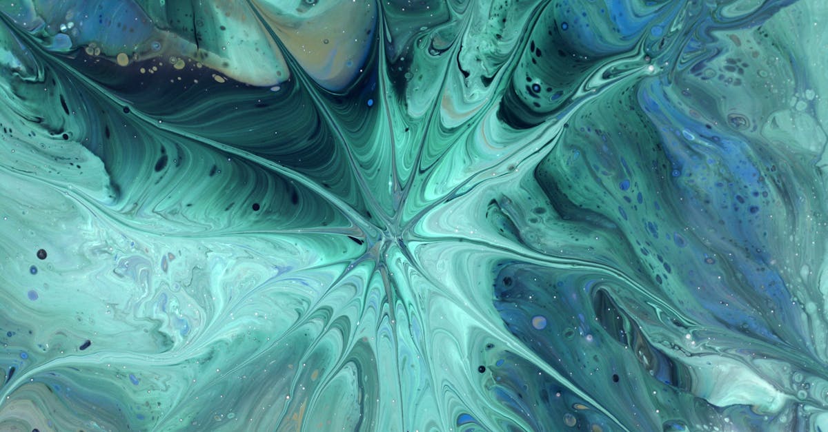 The Rising Popularity of Mural Artists in Brisbane's Urban Culture