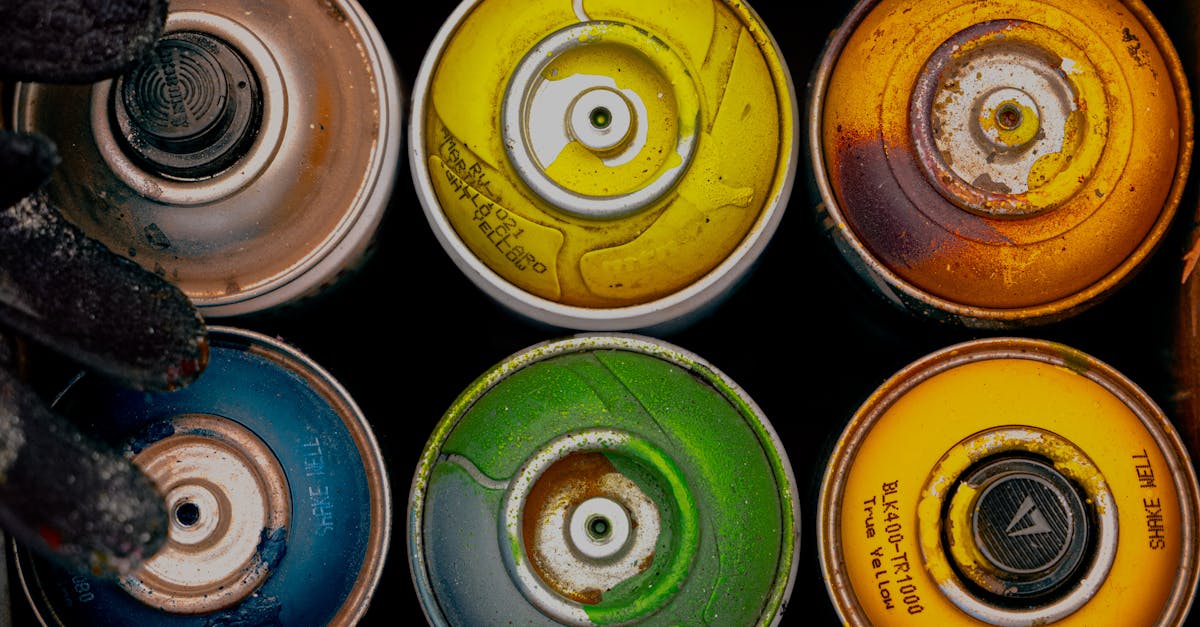 The Role of Natural Light in Colour Selection